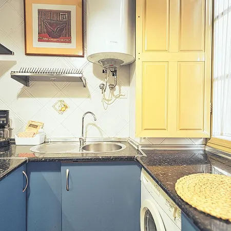 Centro De Fernan Gonzalez Apartment
